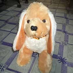 myteddybear